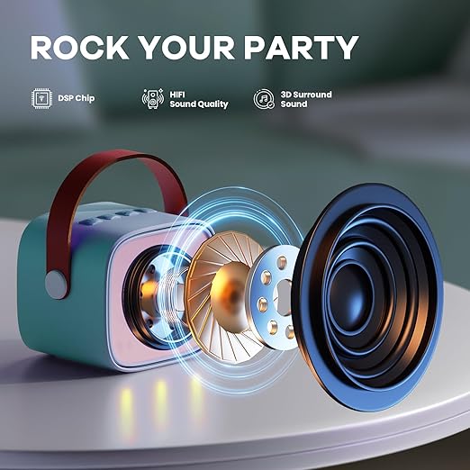Portable Bluetooth Speaker with 2 Wireless Microphones